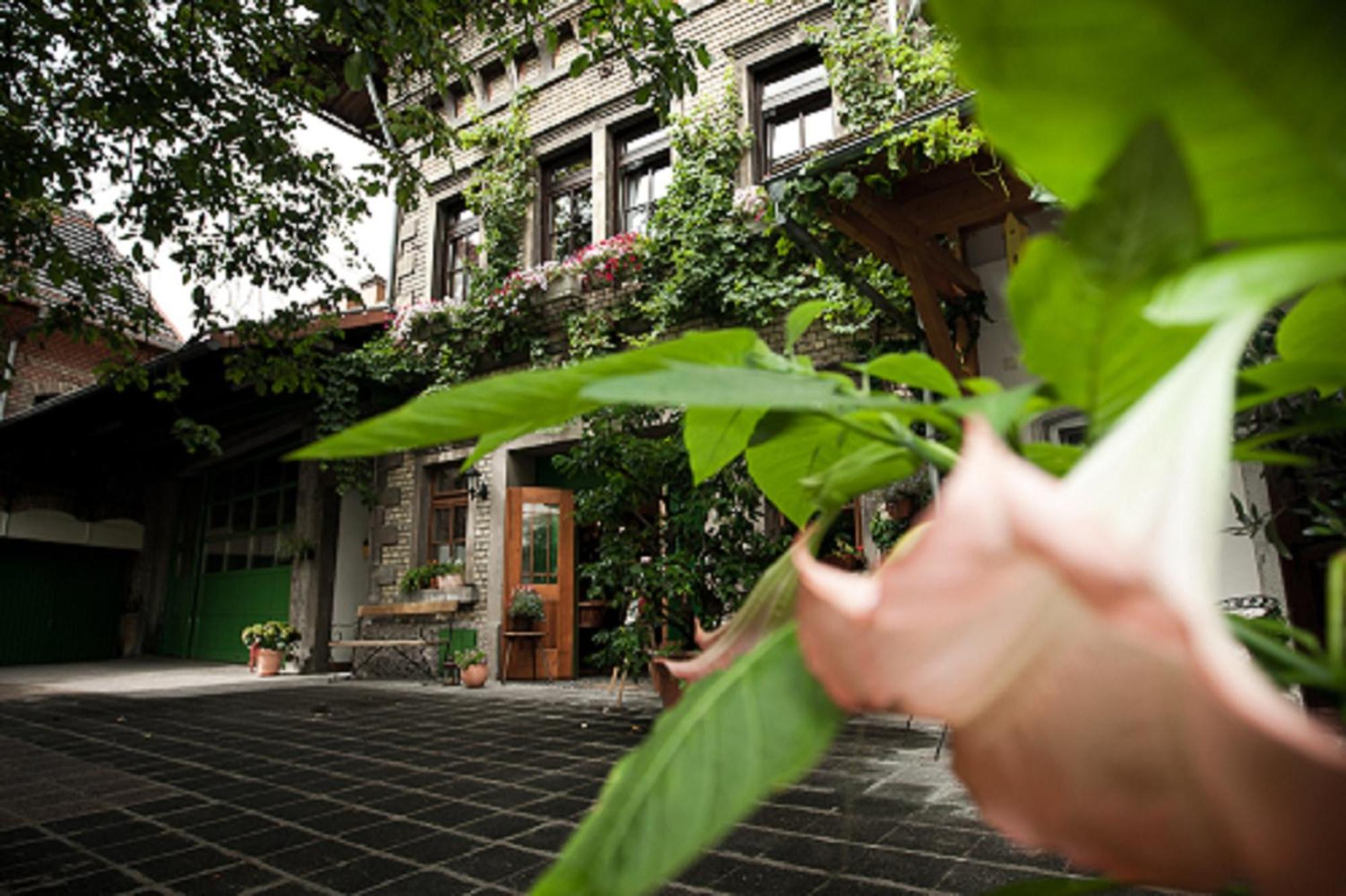 Gaestehaus Guntersblum Exterior foto