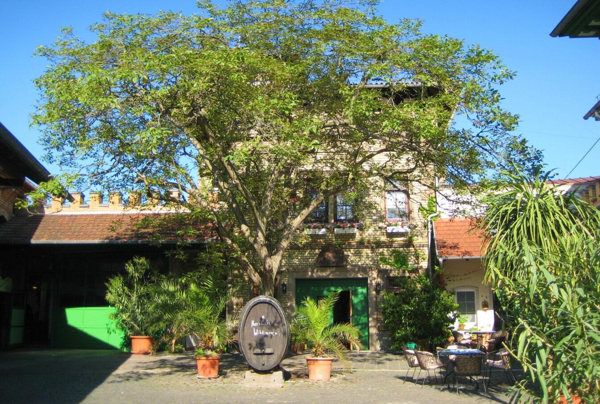 Gaestehaus Guntersblum Exterior foto